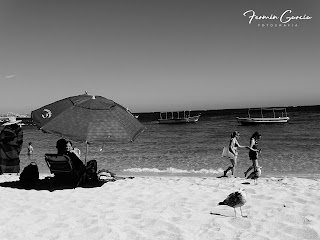 Los cabos beach black and white photography