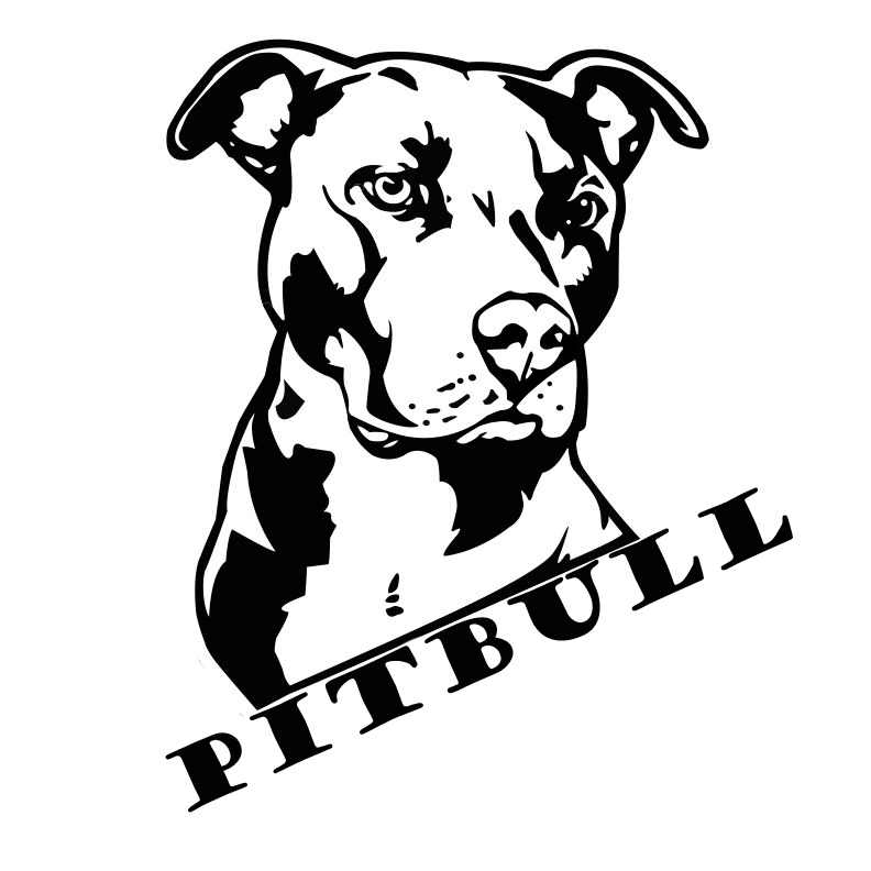 charging bull tattoo designs pit bull tattoo designs