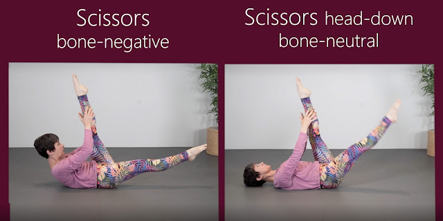 Bone negative and Bone positive exercise