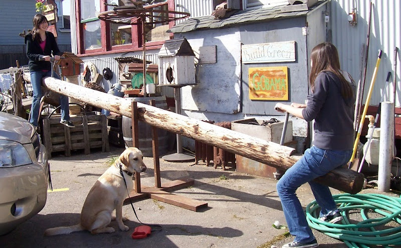 a rustic looking teeter totter made out of a 12 foot long wooden log, my daughters are each on one end smiling, cabana sits on the ground in front of the teeter totter, she looks like she's zoning out, they are in front of a building that has lots of signs and junk all over it