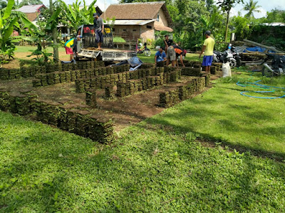 Harga Rumput Jepang Per Meter Persegi 2020