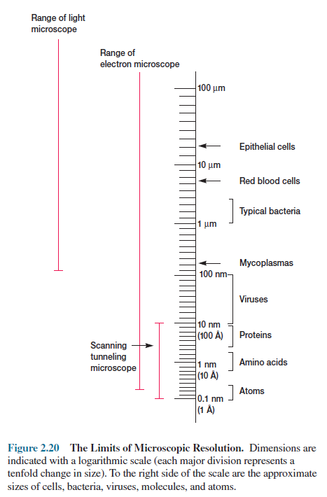 Limits of microscopic resolution