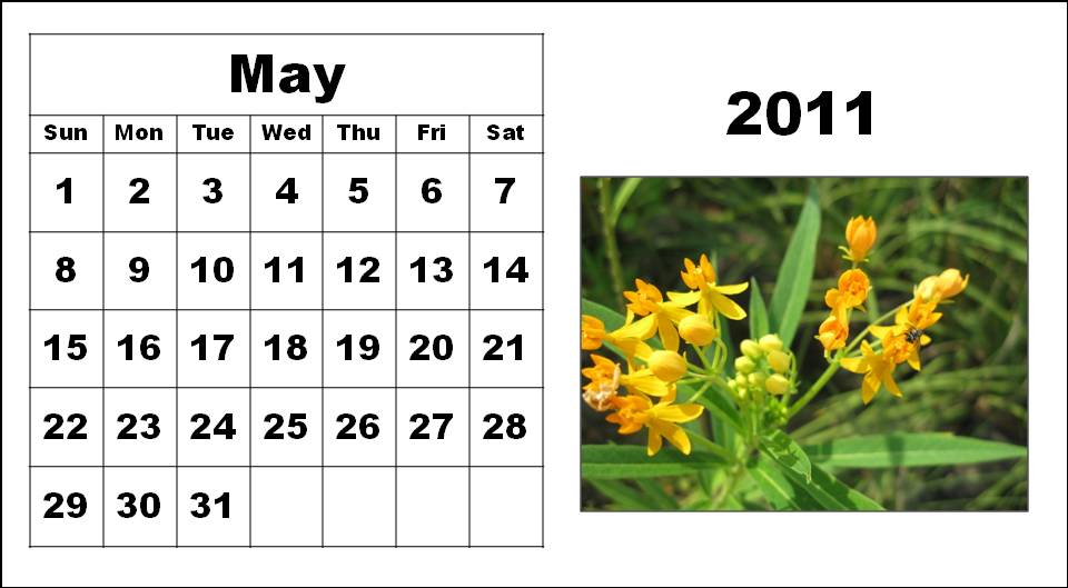 may calendar 2011 printable. Big-Printable-Calendars