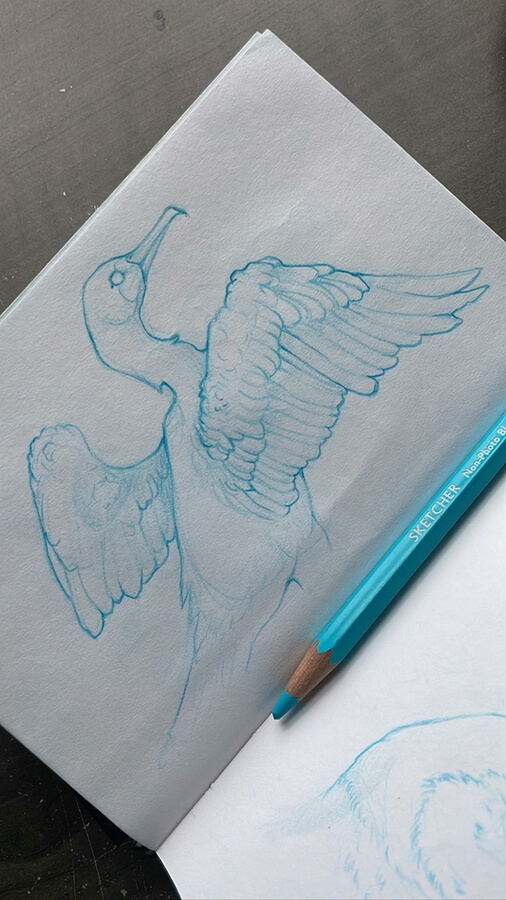 11-A-bird-taking-flight-Animal-Drawings-Renn-Tanner-www-designstack-co