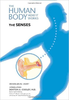 Your Body How It Works: The senses