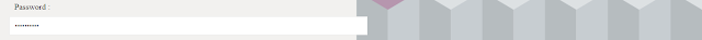 Input Type Password Example