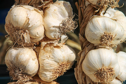 Aroma dari Senyawa Volatil dan Non Volatil Bawang
