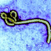 Mesa redonda: “Ébola: tan cerca y tan lejos”