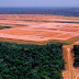 Ambiente| Brasil é o país que mais desmatou em 34 anos, aponta estudo