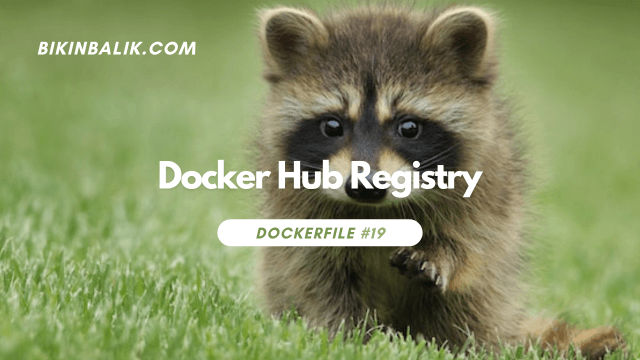 docker hub registry