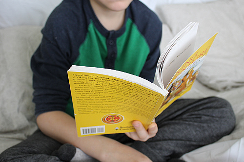 Boy reading Viking Adventure