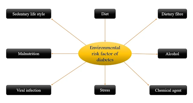 Environmental risk factor of Diabetes