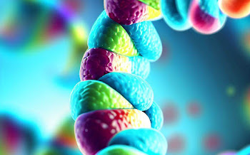 Decoding the Blueprint of Life: Unveiling the Marvels of Nucleic Acids