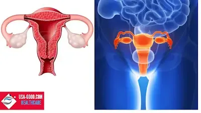 What Is the Female Reproductive System