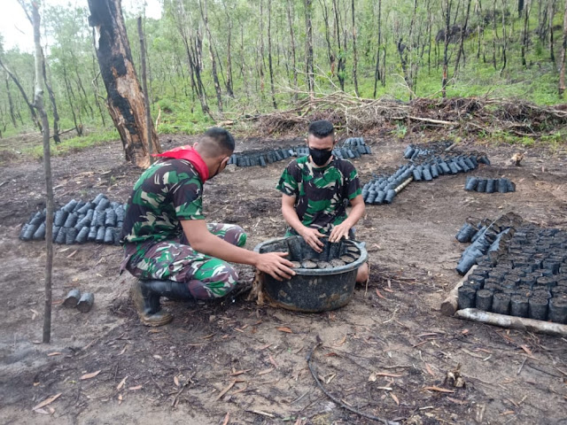 Satgas Yonif RK 732 Banau Beri Bantuan Pembibitan Kayu Besi di Abubu.