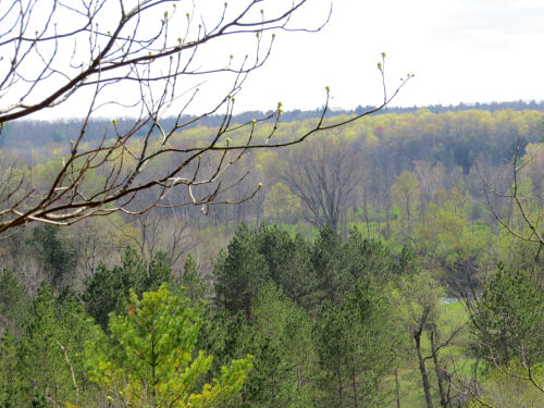 Manistee River springtime