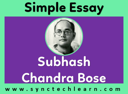 short essay on netaji subhash chandra bose