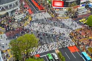 94% High Traffic Intersection Answers English, Portugues, Deutsch, Espanol Espana, French/Francais, Espanol Mexico, Italiano, Russian