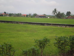 WaDiK + TeMPe: KUiH-MUiH trAdISIonAL MeLAYu