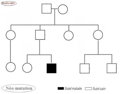 Néo-mutations ou mutations de novo