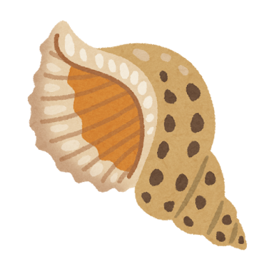 法螺貝のイラスト
