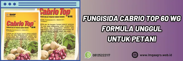 pestisida,pestisida jenis fungisida,basf,basf cabrio top,lmga agro