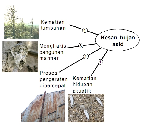 Soalan Eksperimen Sains Tahun 4 - Kuora c