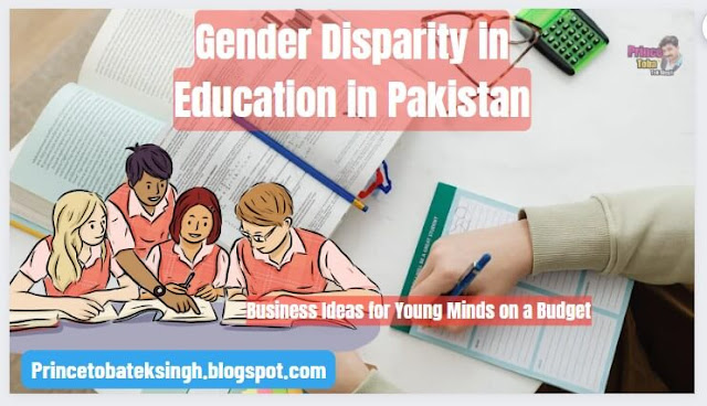 Gender Disparity in Education in Pakistan