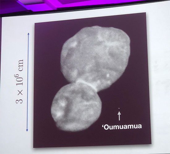 Note Oumuamua's size compared to the recent New Horizon's visit to MU69 (Source: Greg Laughlin, Yale U, at 233rd AAS meeting)