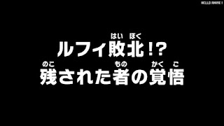 ワンピース アニメ 1070話 | ONE PIECE Episode 1070