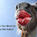 Do You Want to Kiss Me Baby? A Funny Reaction of Animal