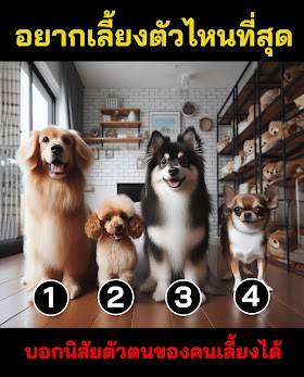 ถ้าเลี้ยงสุนัขได้ 1 ตัว คุณจะเลือกตัวไหน คำตอบจะบ่งบอกนิสัยของคุณได้อย่างแม่นยำ