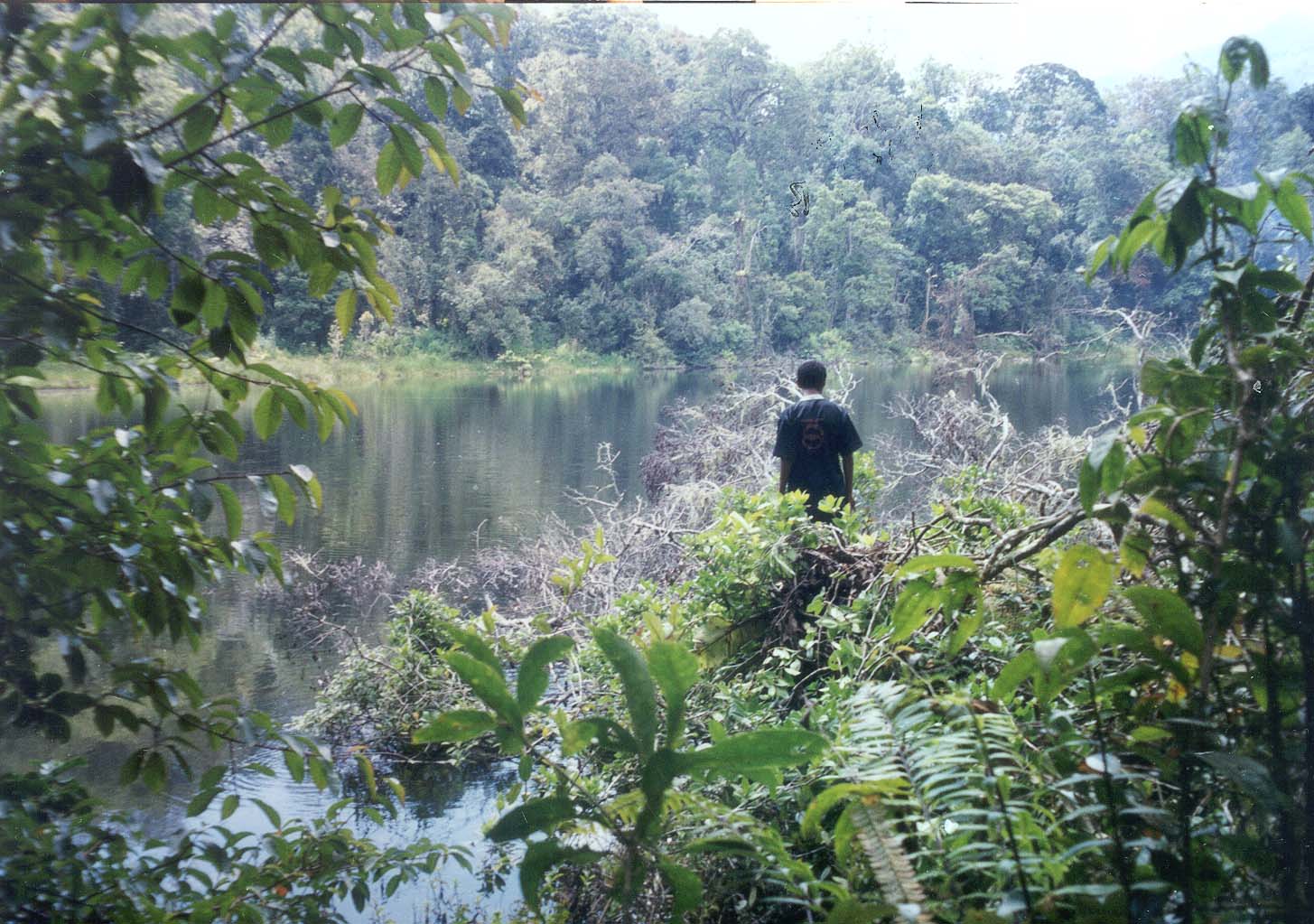 Dokumentasi Fhoto kerinci  Coretan Anak Petani