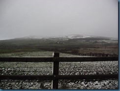 SAM_0463 SAM_0463