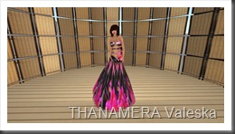 Snapshot_041