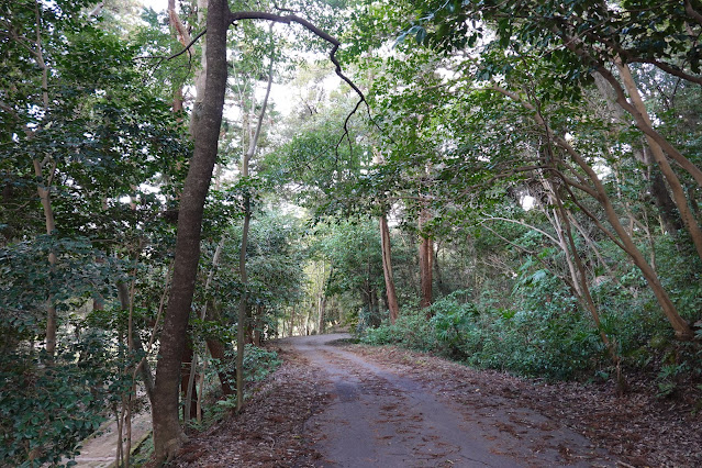 島根県松江市内中殿町 松江城 城山公園