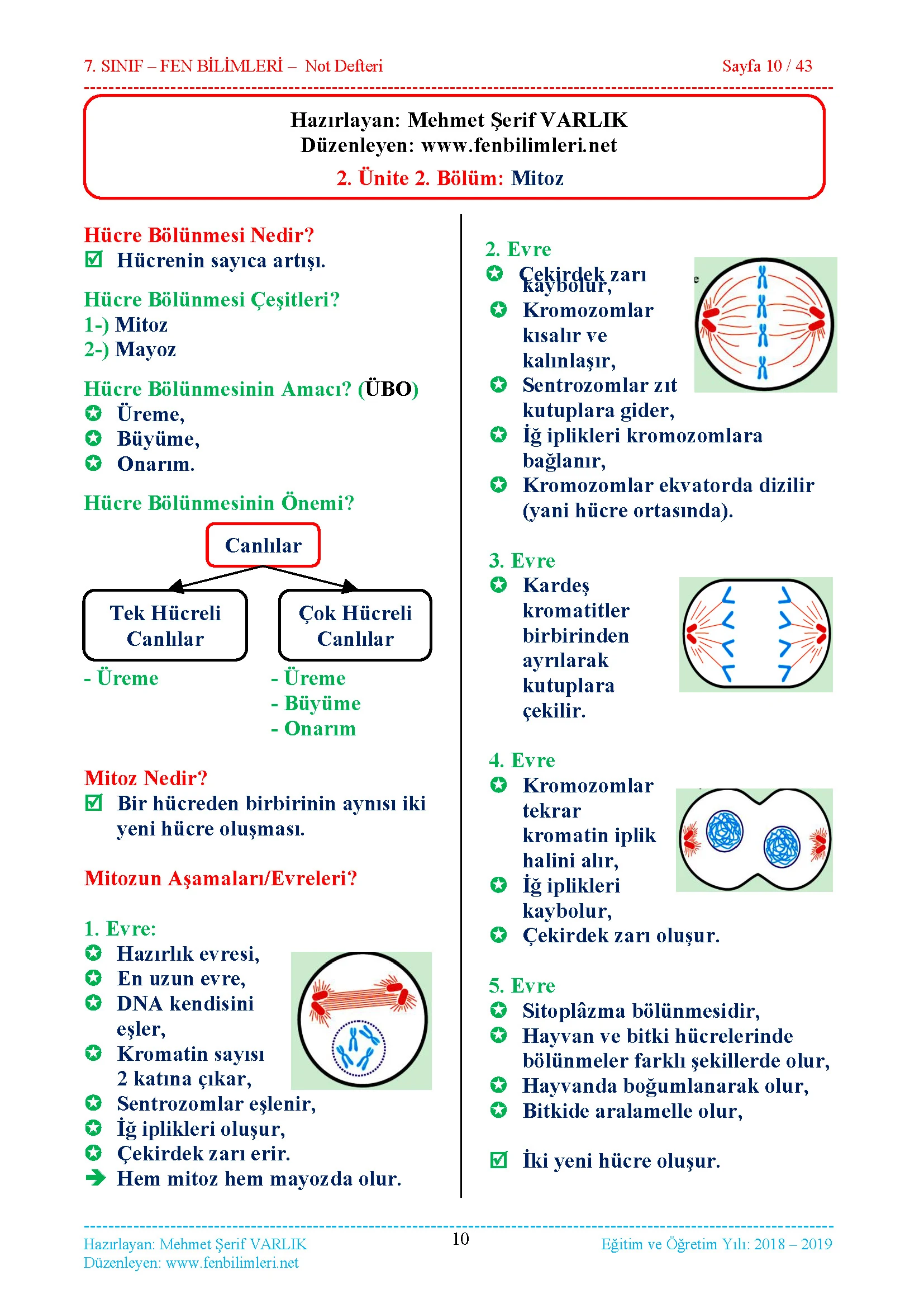 2. Ünite: Hücre ve Bölünmeler Konu Anlatımı 1.Bölüm: Hücre 2.Bölüm: Mitoz 3.Bölüm: Mayoz