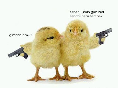  Gambar  Anak Ayam  Lucu  Ardi La Madi s Blog