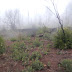 PCT Day 3