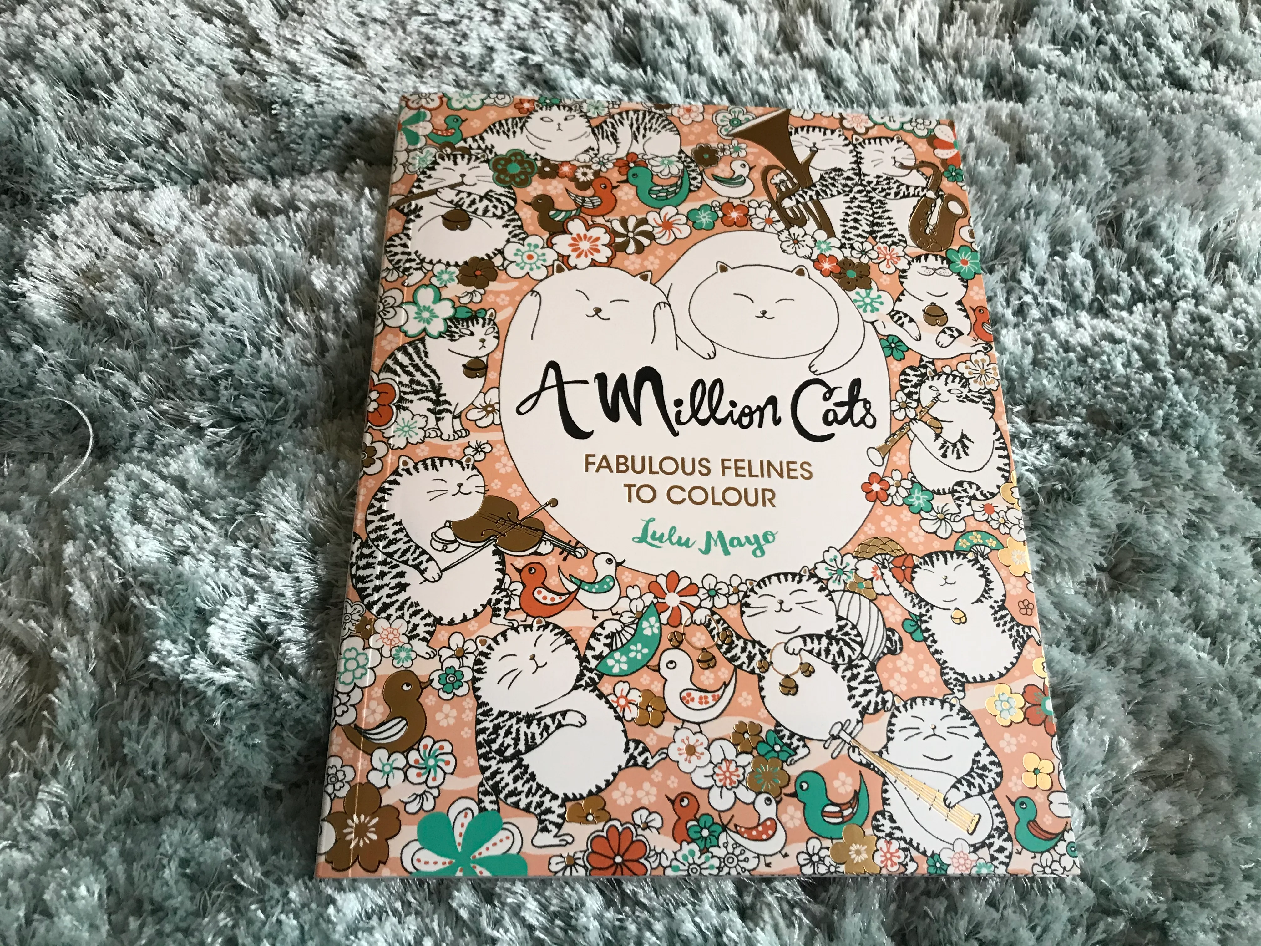 Cat Colouring Book