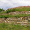 View album