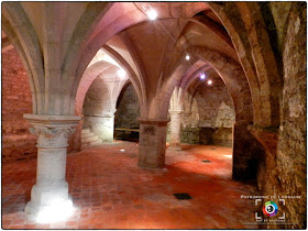 NEUFCHATEAU (88) - Cave gothique de l'Hôtel d'Houdreville 