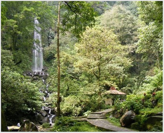 Air Terjun Kakek Bodo;10 Top Destinasi Wisata Pasuruan;