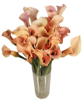 Peach Apricot Calla bouquet