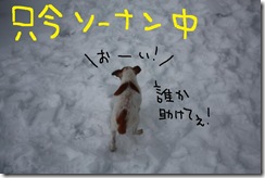 今日カズ１００１０９　２