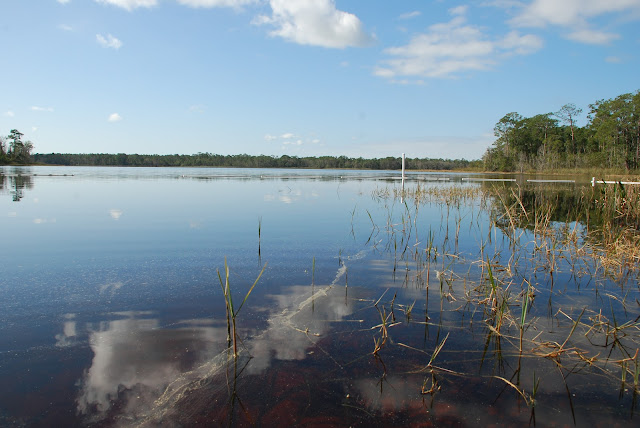 Wildcat Lake