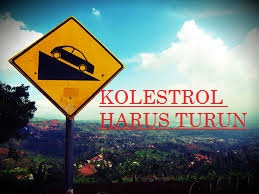 Menurunkan kolestrol dengan  alami dan cepat