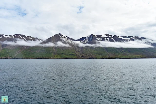 Avistamiento de ballenas en Hauganes, Islandia