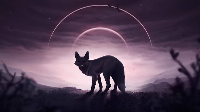 Fox, Wolf, Artist, Artwork, Digital Art, Deviantart Images, Hd