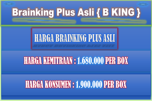 Agen Brainking Plus batam 08123018900v